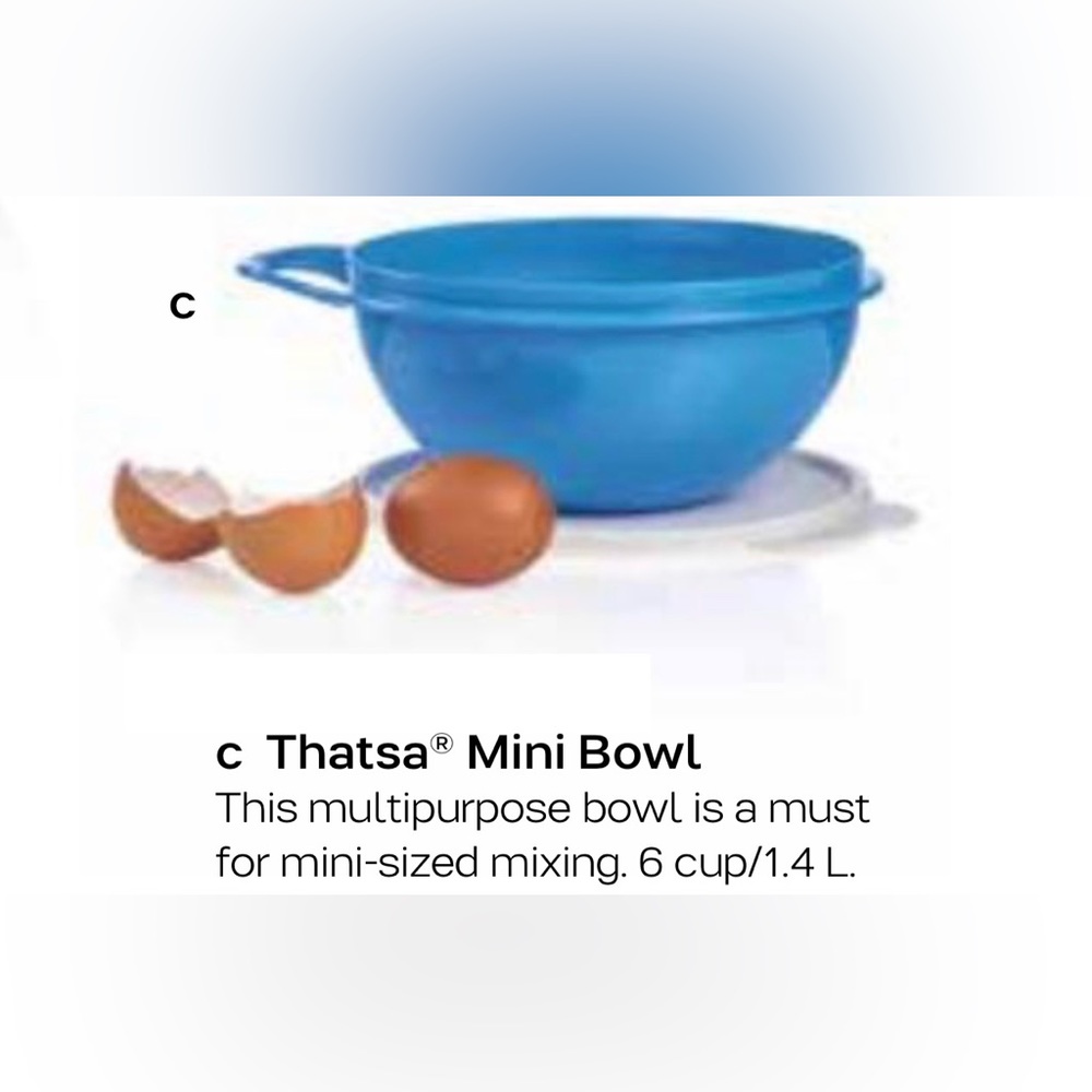 Tupperware Thats A Bowl Mini 2pc Sets in Teal